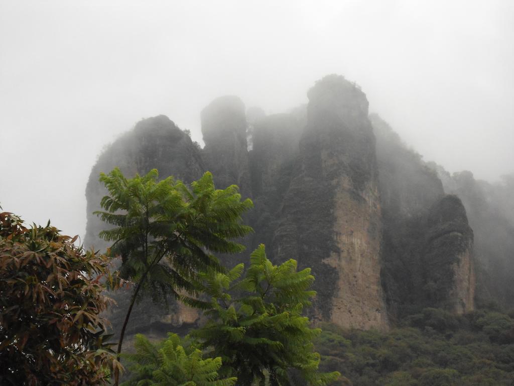 Posada Los Robles Tepoztlan Exterior photo